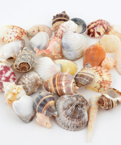 Skjellmix store ca 250g