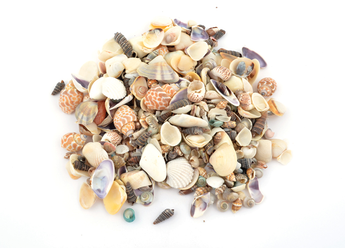 Skjellmix små ca 260g