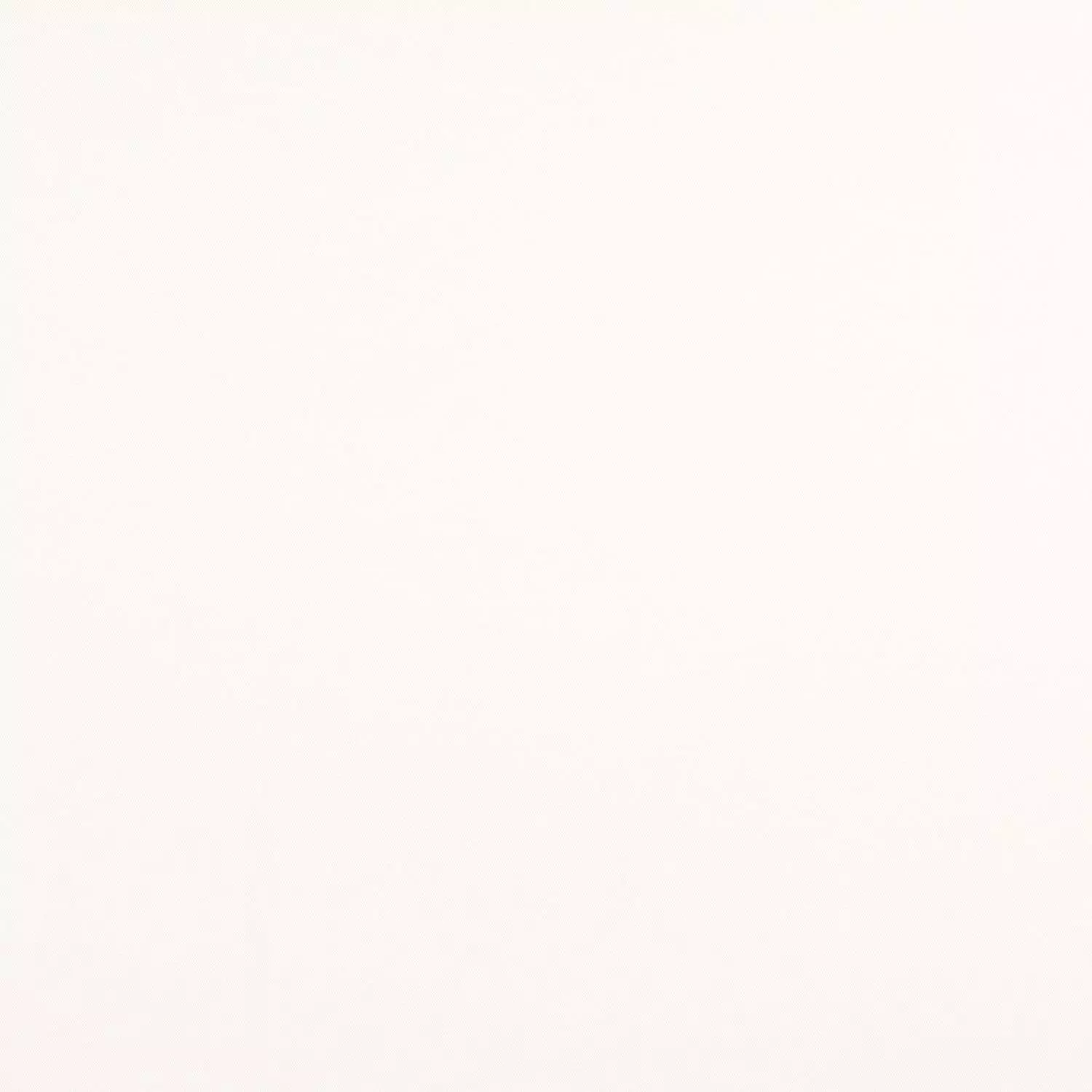 gallery-5-for-107404