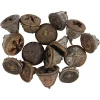 Eucalyptus 25g