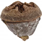 gallery-1694-for-100664