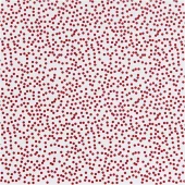 gallery-1727-for-100688