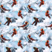 French Terry - Snowboard
