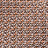 gallery-3635-for-500310284