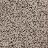 gallery-3639-for-500310303