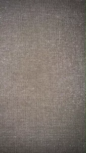 Lin metallic - Champagne