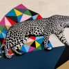 Leopard walking