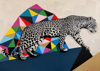Leopard walking
