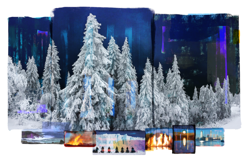 Aurora (winter spruce)