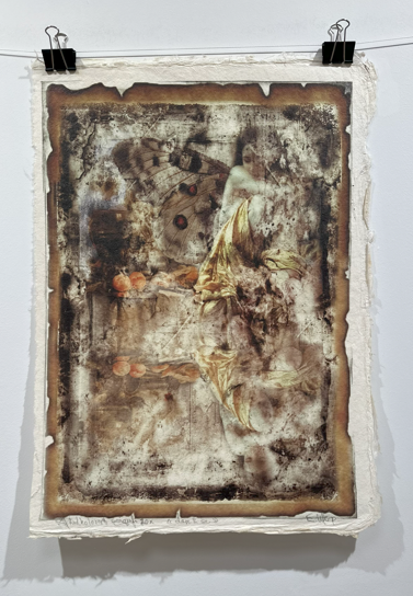 gallery-23-for-201729