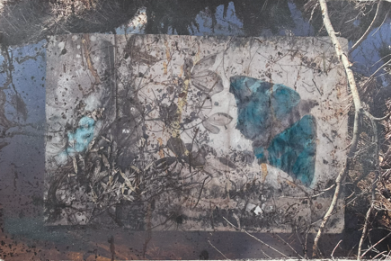 Firkløver under sommerfuglevinger