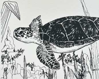 Gjennom hundre millioner av år