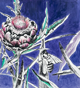 Urtidsplante, håndkolorert