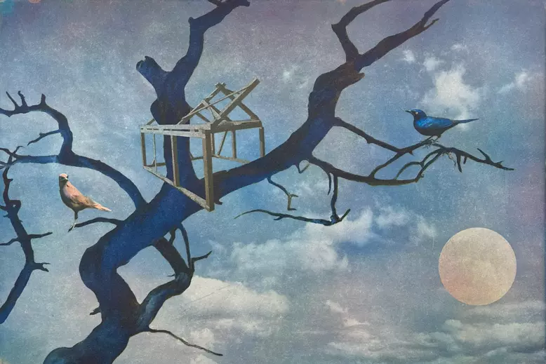 Trekkfuglens dilemma