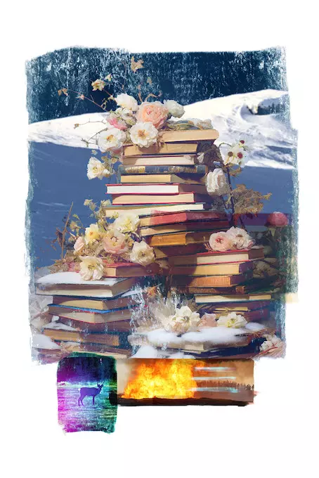 Horizon/Skarstøl/Reindeer