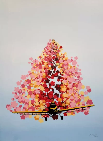 Diving for diversity