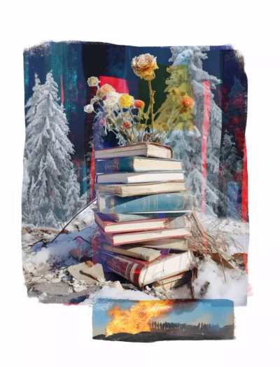 Books/Spruce
