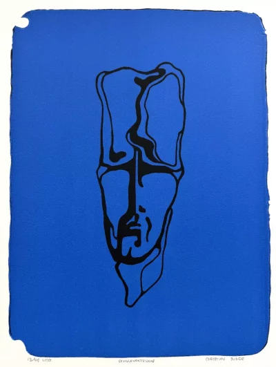 Skyggevokteren lito blå