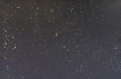 Stars IV