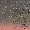 Stars III