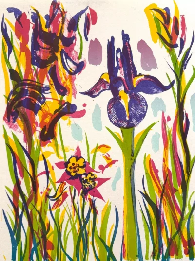 Iris