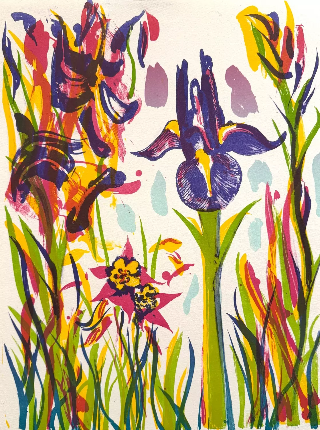 Iris