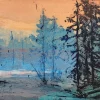 Skogsmyr - Dyrvedalen