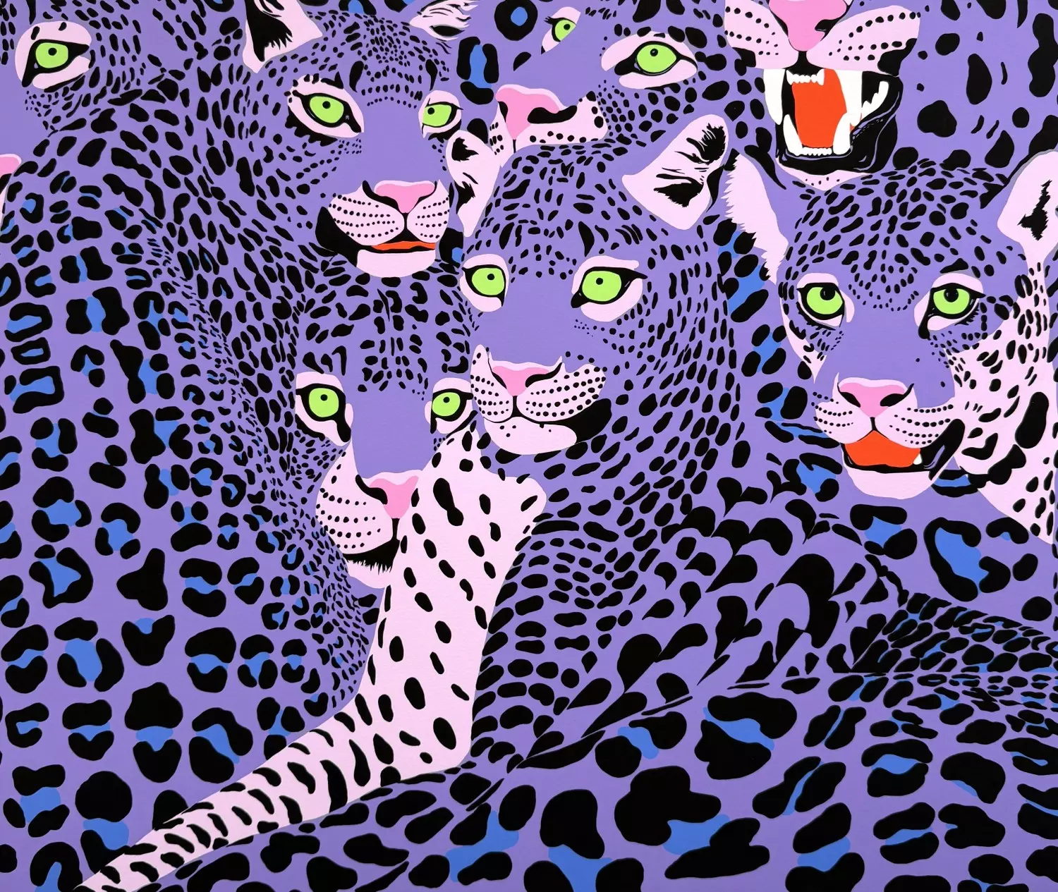 Wild cats