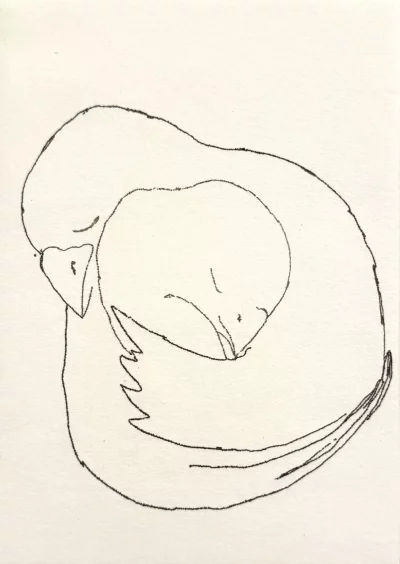 Klem