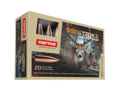 Norma Tipstrike .30-06 11,0g/170gr