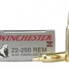 Winch. .225 Win 55gr. PSP