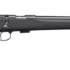 CZ 457 Synthetic 22WMR