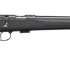 CZ 457 Synthetic 22WMR