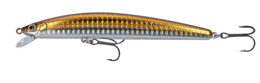 TN MINNOW 95SP GOLD LENS