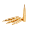 Peregrine Bullets Glider RM x 50 | 264 | 120gr |