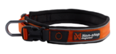 Non-Stop Dogwear Roam Collar