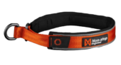 Non-Stop Dogwear Cruise Collar