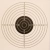 Mjoelner Hunting paper target for pellet trap, 1 spot, 100stk
