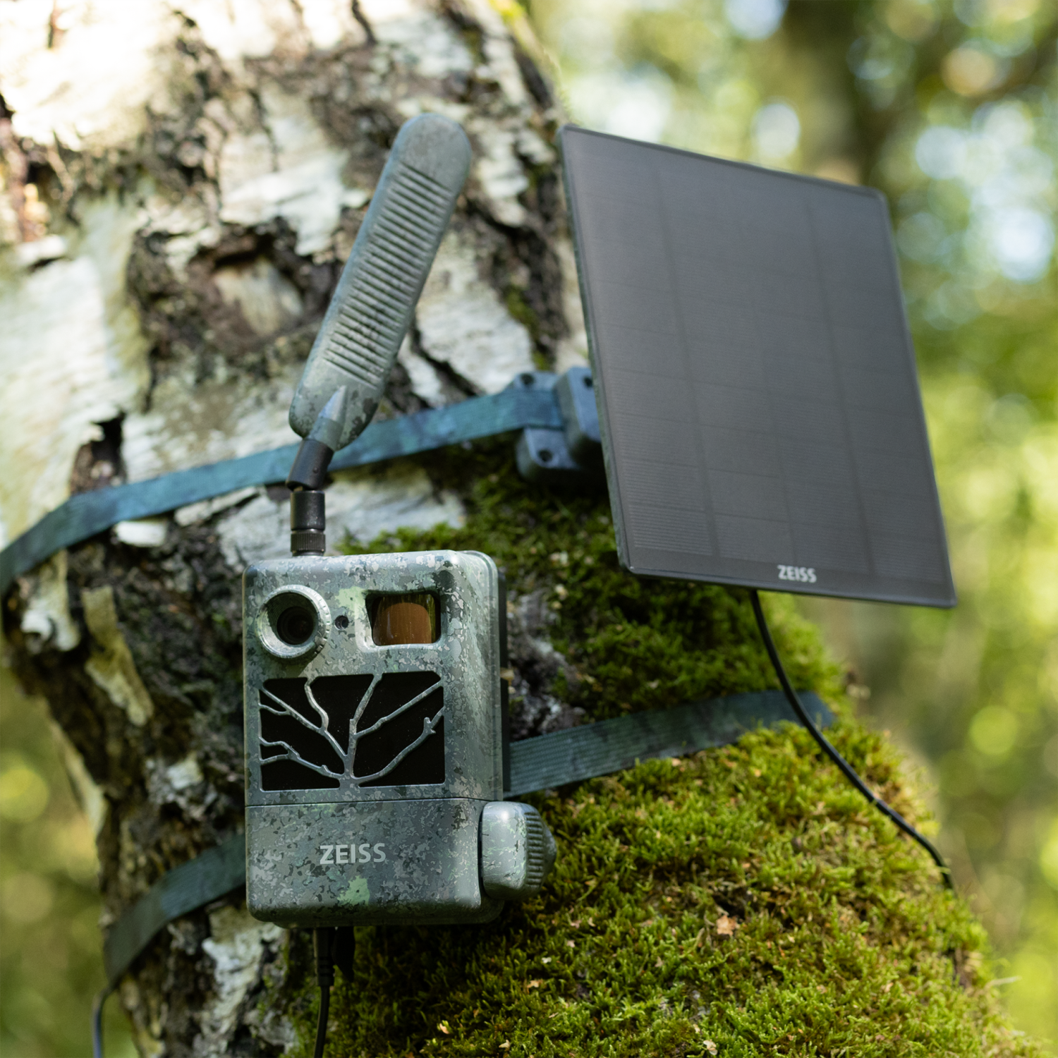 gallery-186-for-529703-0000-000