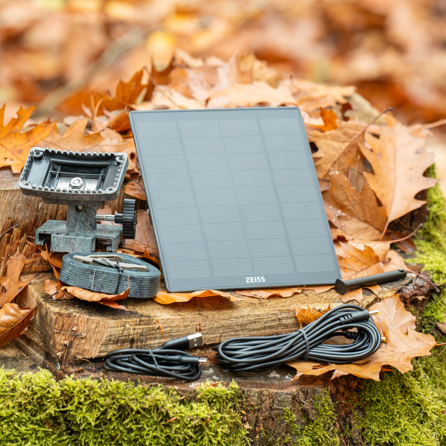 gallery-187-for-529703-0000-000