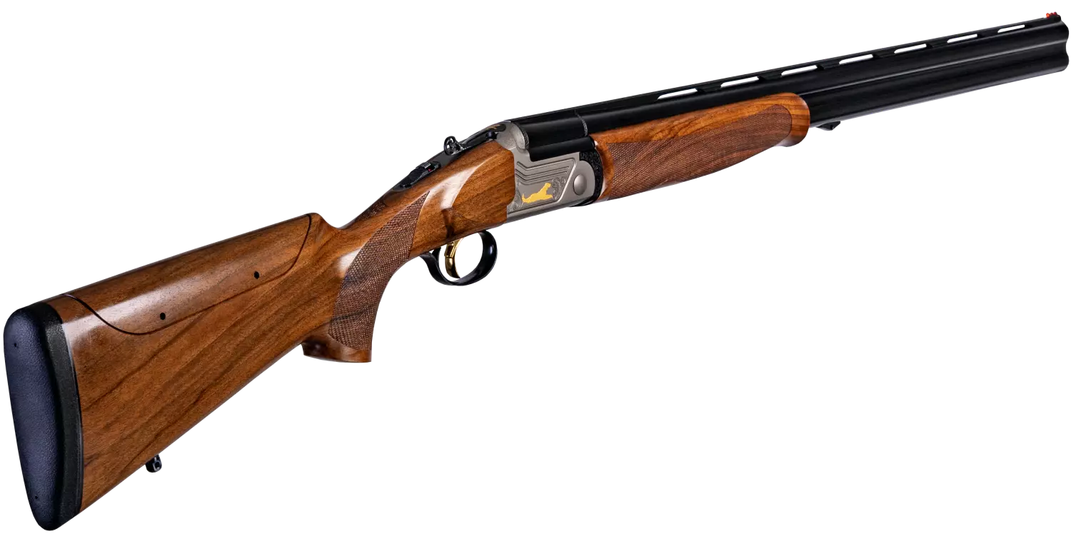 gallery-207-for-9231