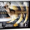 Trophy Bonded Tip .30 180grs kule