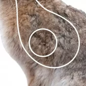 Jaktfeltfigur Skifteblink m/lim Hare