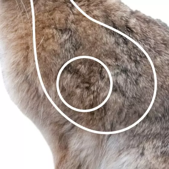 Jaktfeltfigur Skifteblink m/lim Hare