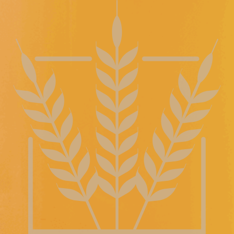 BEST Rye Malt (rug) 1 kg