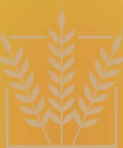 BEST A-XL | 4 EBC | 1 kg