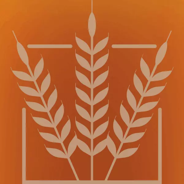BEST Biscuit Malt | 45-55 EBC | 1 kg