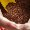 Weyermann® CARAFA® SPECIAL I [800-1000 EBC] 1 kg