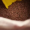 Weyermann® CARAFA® SPECIAL II [1100-1200 EBC] 1 kg
