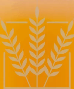 BEST Chit Malt | 3 EBC | 1 kg